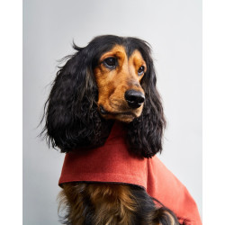 Cloud7 Hundemantel Brooklyn Rust