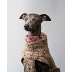 Cloud7 Hundepullover Gotland Sandy Brown