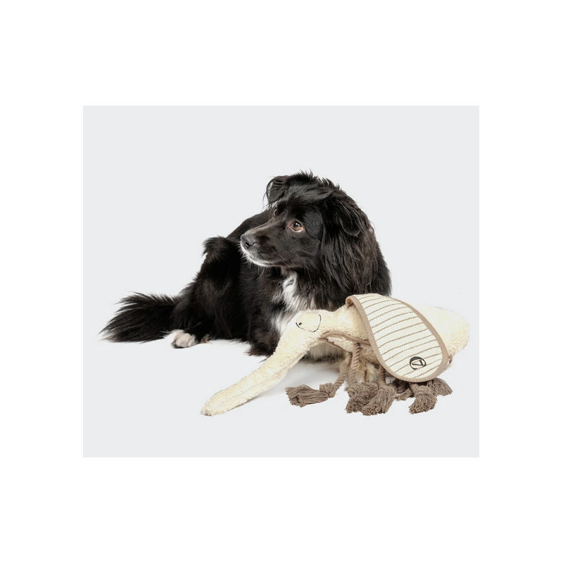 Cloud7 Hundespielzeug Mosquito Momo