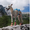 Hundebooties Protector light socks high (4Stück)