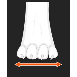 Hundebooties Protector light socks high (4Stück)