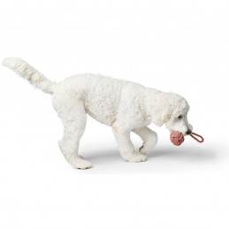 Hundespielzeug Inari S pastellrot