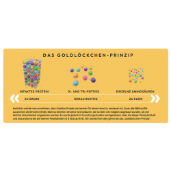 Peptide+ Hypoallergen/ Gesundes Leben - Rezeptur (getreidefrei)