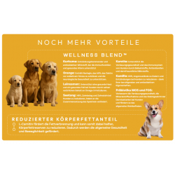 Peptide+ Hypoallergen/ Gesundes Leben - Rezeptur (getreidefrei)