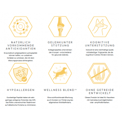Peptide+ Hypoallergen/ Gesundes Leben - Rezeptur (getreidefrei)