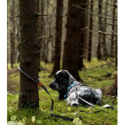 Touring bungee adjustable - one size/23mm - Non-Stop Dogwear