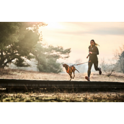 Zuggeschirr Freemotion harness 5.0 AQUA - Non-Stop Dogwear