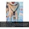 Zuggeschirr Nansen nome harness 5.0 - Non-Stop Dogwear