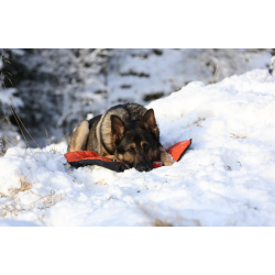 Protector bivvy bed orange - Non-Stop Dogwear