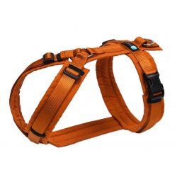 anny-x Brustgeschirr Fun Ahorn