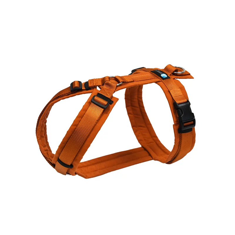 anny-x Brustgeschirr Fun Ahorn