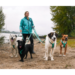 anny-x Brustgeschirr Fun Ozean