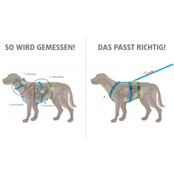 Brustgeschirr Fun schwarz/ schwarz