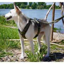 anny-x Brustgeschirr Fun oliv/ oliv