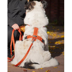 anny-x Brustgeschirr Fun Ahorn