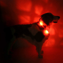 LEUCHTIE Easy Charge - LED Halsband für Hunde - rot