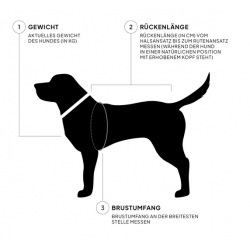 Cloud7 Hunderegenmantel Helgoland Navy