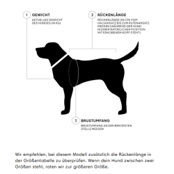 Cloud7 Hundemantel Brooklyn light Graphit