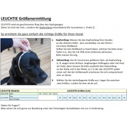 LEUCHTIE Easy Charge - LED Halsband für Hunde - rot