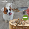 Lodde 100g