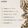Lodde 100g