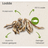 Lodde 100g
