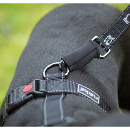 Rukka®Pets Führleine Rukka® HIKE TRAIL - Wanderleine, Polyester (1-tlg), besonders langer Expanderteil