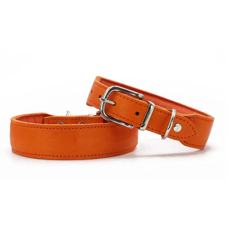 Halsband Mono Pop orange
