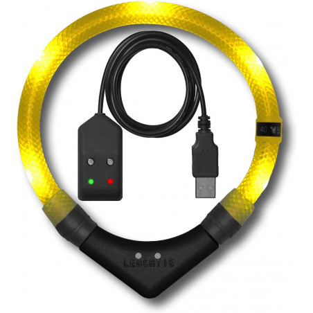 LEUCHTIE Easy Charge - LED Halsband für Hunde - sonnengelb