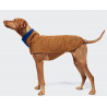 Cloud7 Hundemantel Brooklyn Waxed Cotton Curry