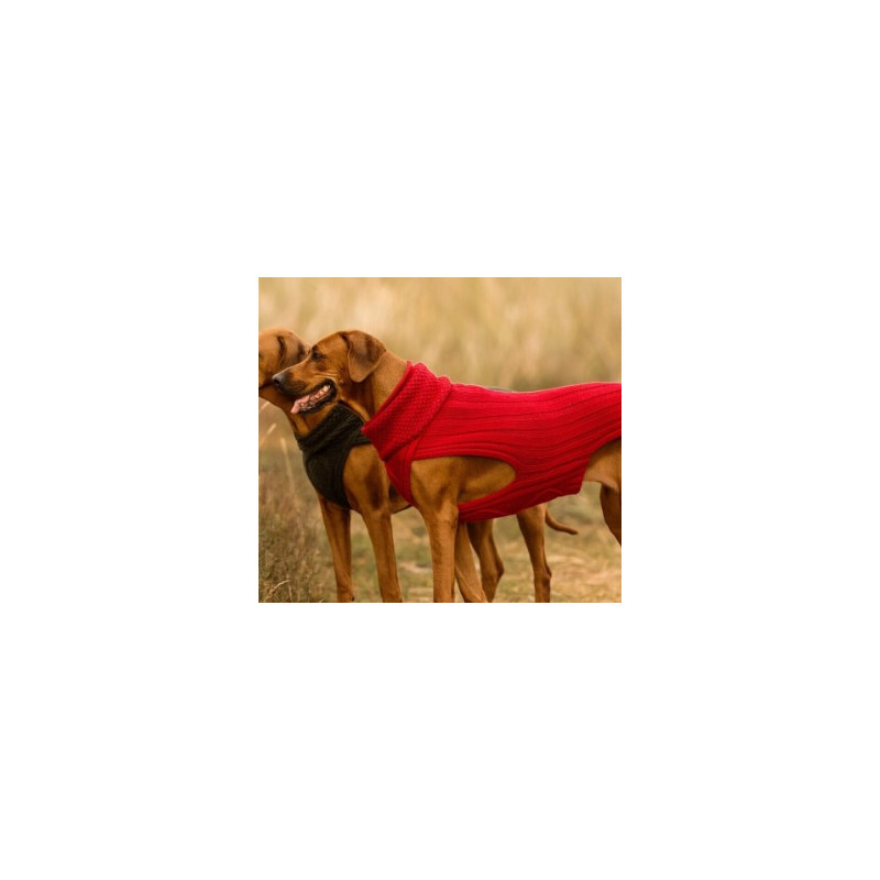 JUMPER CLASSY - ROT , 100% Wolle
