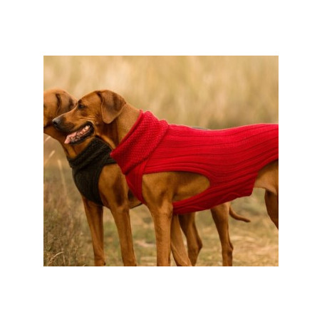 JUMPER CLASSY - ROT , 100% Wolle