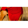 JUMPER CLASSY - ROT , 100% Wolle