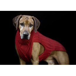 JUMPER CLASSY - ROT , 100% Wolle