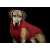 JUMPER CLASSY - ROT , 100% Wolle