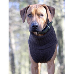 JUMPER - WALNUT BROWN, 100 % Wolle vom Merino Schaf