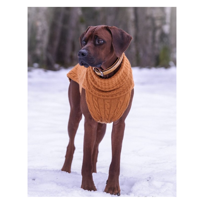 JUMPER - CINNAMON, 100% Wolle
