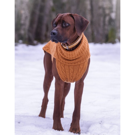 JUMPER - CINNAMON, 100% Wolle