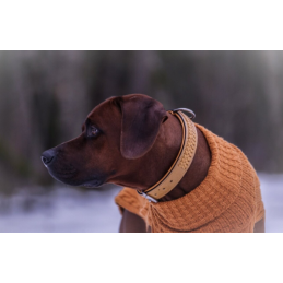 JUMPER - CINNAMON, 100% Wolle