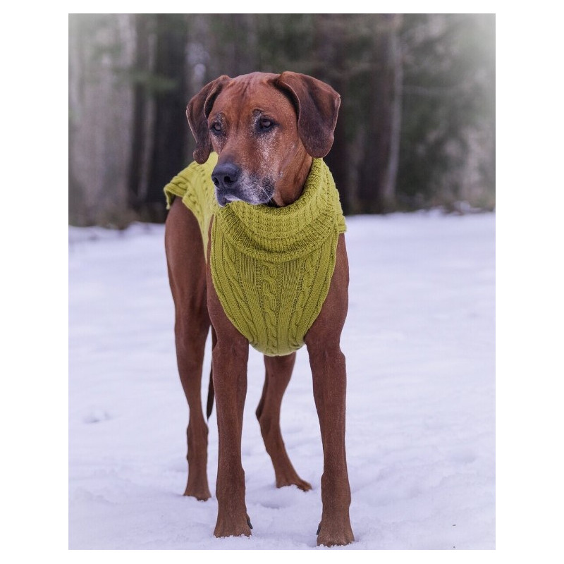 JUMPER - PRETTY LEAF, 100 % Wolle