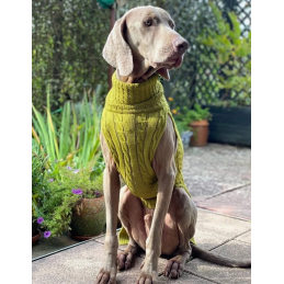 JUMPER - PRETTY LEAF, 100 % Wolle