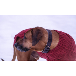 JUMPER - RUSTY RED, 100 % Wolle