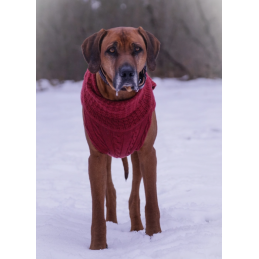 JUMPER - RUSTY RED, 100 % Wolle