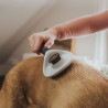 Zupfbürste Spa selbstreinigend